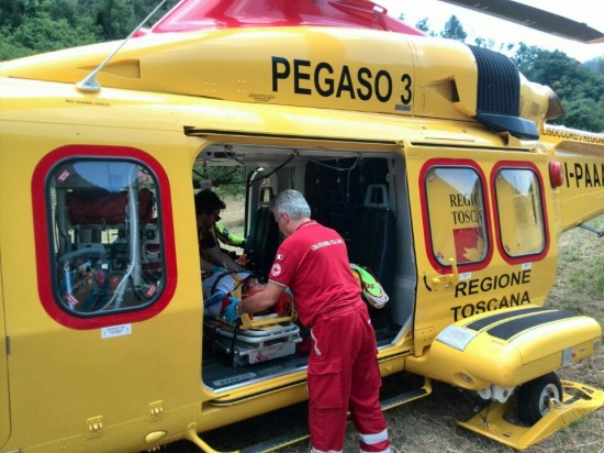 pegasobdl1