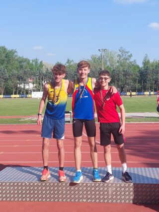 OLEYNICHENKO alto modena