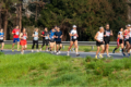 Ferrara Marathon, definito il nuovo percorso per l'edizione 2027