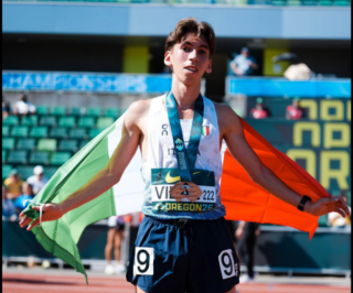 NICOLO VIDAL