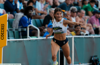 margherita castellani
