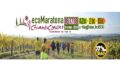 19^EcoMaratona del Chianti Classico, sabato 17 ottobre il «Test gara e briefing con Fulvio Massini»