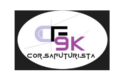 CF9K Corsa Futurista: in oltre 1000 per lo spettacolo dei flussi di luce
