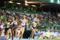 Tutto pronto a Rovereto per il 62° Palio Città della Quercia