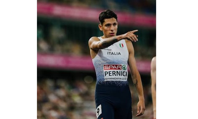 pernici