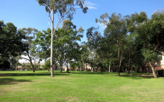 01-uq-campus